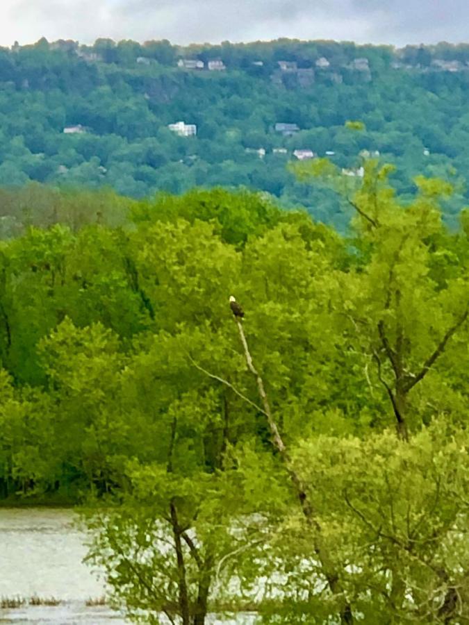 Chattanooga Room At Tennessee Riverplace Екстер'єр фото